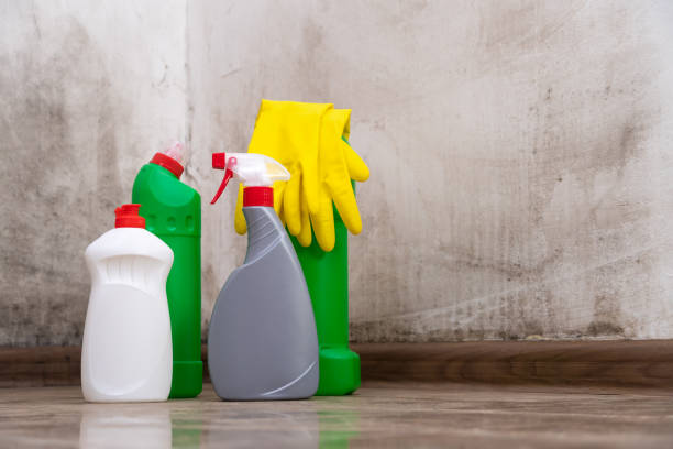 Best Mold Odor Removal Services  in East Lansdowne, PA